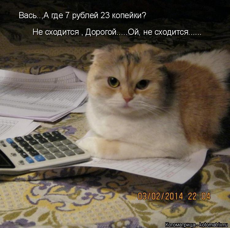 Котоматрица: Вась..,А где 7 рублей 23 копейки? Не сходится , Дорогой.....Ой, не сходится......