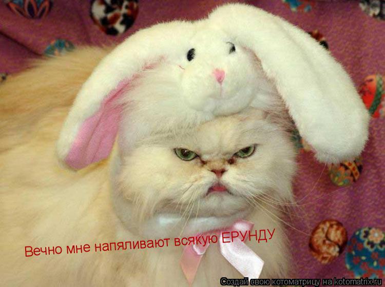 Котоматрица: Вечно мне напяливают всякую ЕРУНДУ  Вечно мне напяливают всякую ЕРУНДУ