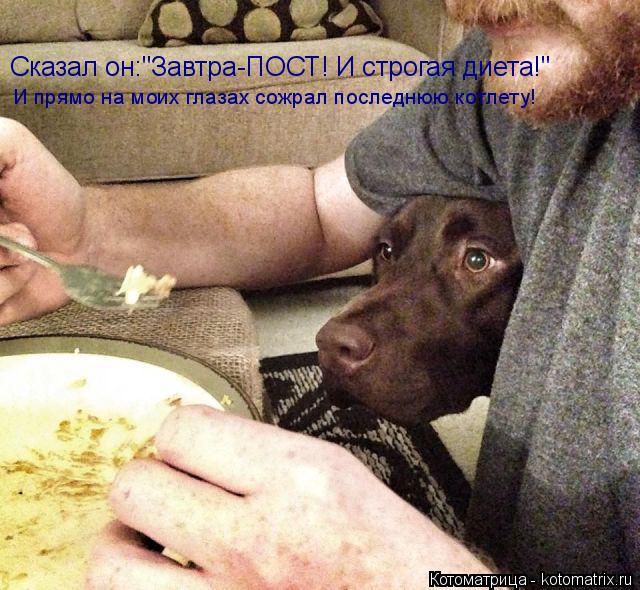 Котоматрица: Сказал он:"Завтра-ПОСТ! И строгая диета!" И прямо на моих глазах сожрал последнюю котлету!