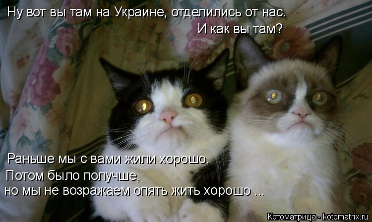 Котоматрица: Ну вот вы там на Украине, отделились от нас. И как вы там? Раньше мы с вами жили хорошо.  Потом было получше,  но мы не возражаем опять жить хоро