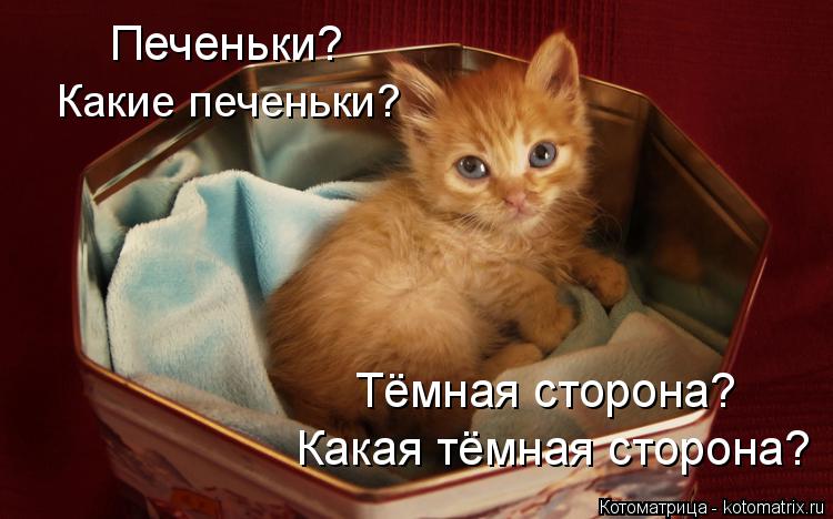 Котоматрица: Какая тёмная сторона? Тёмная сторона? Печеньки? Какие печеньки?