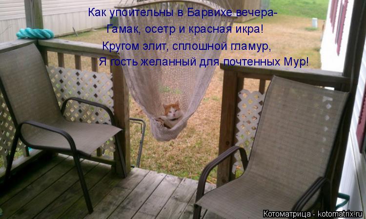 Котоматрица: Как упоительны в Барвихе вечера- Гамак, осетр и красная икра! Кругом элит, сплошной гламур, Я гость желанный для почтенных Мур!