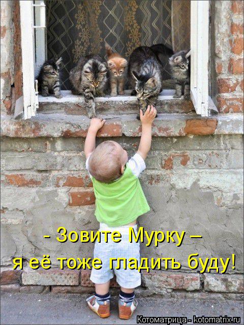 Котоматрица: - Зовите Мурку –  я её тоже гладить буду!