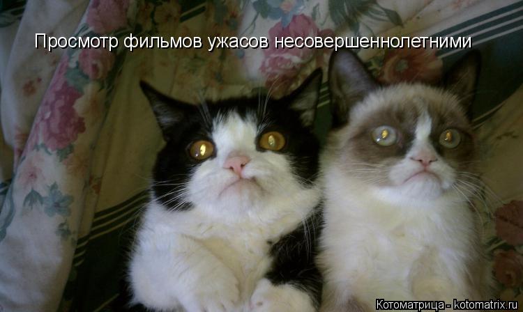 Котоматрица: Просмотр фильмов ужасов несовершеннолетними