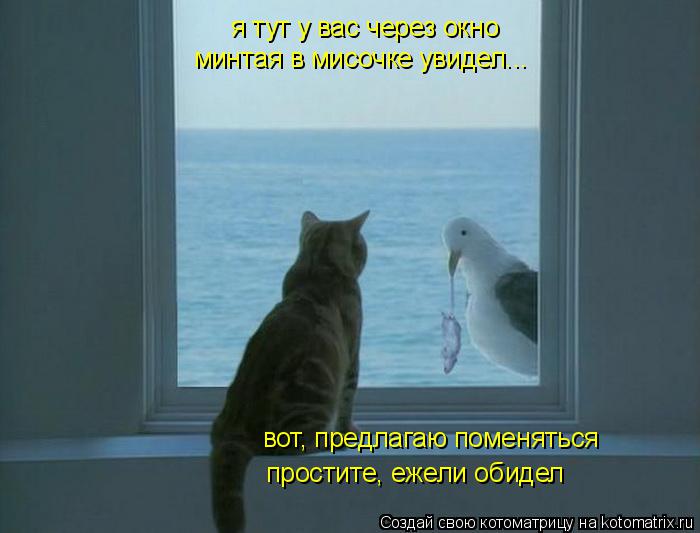 Котоматрица: я тут у вас через окно минтая в мисочке увидел... вот, предлагаю поменяться простите, ежели обидел