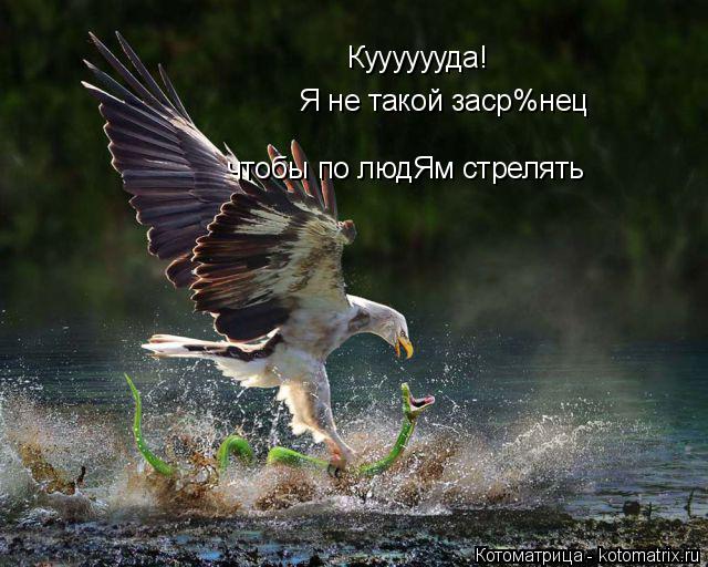 Котоматрица: Кууууууда! Я не такой заср%нец чтобы по людЯм стрелять