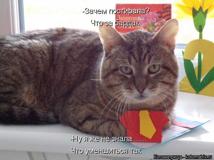 -Зачем постирала? -Ну я же не знала....... Что уменшиться так Что за бардак... Котоматрица: -Зачем постирала? -Ну я же не знала....... Что уменшиться так Что за бардак