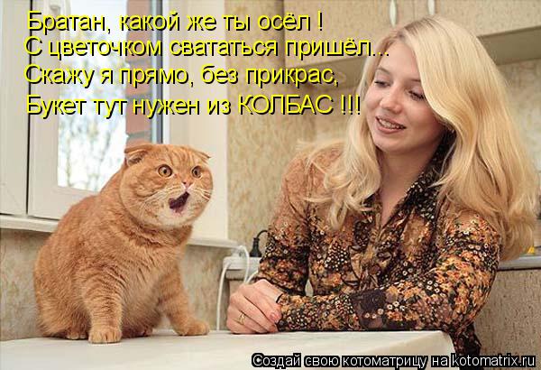 Букет тут нужен из КОЛБАС !!! Скажу я прямо, без прикрас, С цветочком свататься пришёл... Братан, как... Котоматрица: Букет тут нужен из КОЛБАС !!! Скажу я прямо, без прикрас, С цветочком свататься пришёл... Братан, какой же ты осёл !