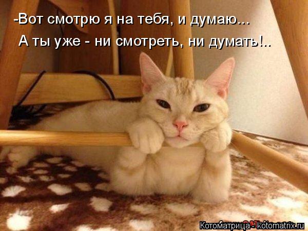 Котоматрица: -Вот смотрю я на тебя, и думаю... А ты уже - ни смотреть, ни думать!..