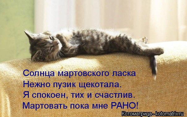 Котоматрица: Солнца мартовского ласка Нежно пузик щекотала. Я спокоен, тих и счастлив. Мартовать пока мне РАНО!
