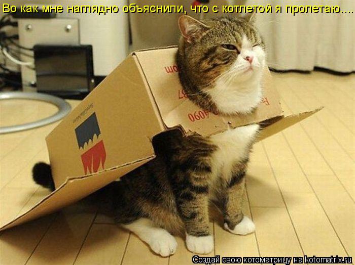 Котоматрица: Во как мне наглядно объяснили, что с котлетой я пролетаю....