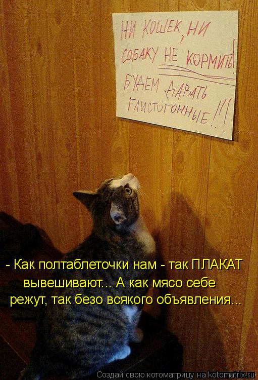 Котоматрица: - Как полтаблеточки нам - так ПЛАКАТ вывешивают... А как мясо себе режут, так безо всякого объявления...
