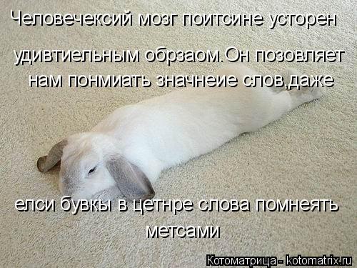 Котоматрица: Человечексий мозг поитсине усторен удивтиельным обрзаом.Он позовляет нам понмиать значнеие слов,даже елси бувкы в цетнре слова помнеять м