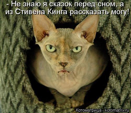 Котоматрица: - Не знаю я сказок перед сном, а из Стивена Кинга рассказать могу!