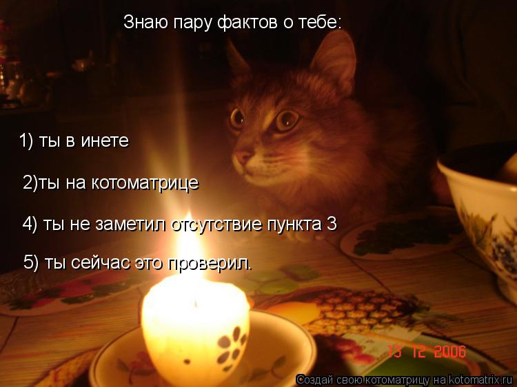 Котоматрица: Знаю пару фактов о тебе: 1) ты в инете 2)ты на котоматрице 4) ты не заметил отсутствие пункта 3 5) ты сейчас это проверил.