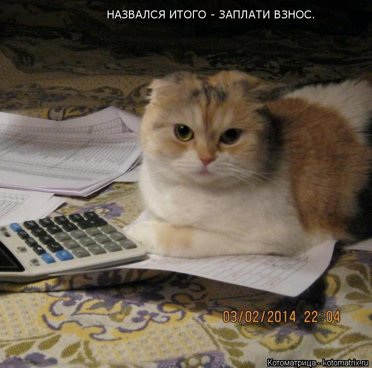 Котоматрица: НАЗВАЛСЯ ИТОГО - ЗАПЛАТИ ВЗНОС.