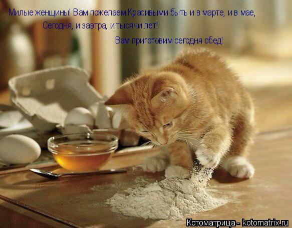 Котоматрица: Милые женщины! Вам пожелаем Красивыми быть и в марте, и в мае, Сегодня, и завтра, и тысячи лет! Вам приготовим сегодня обед!