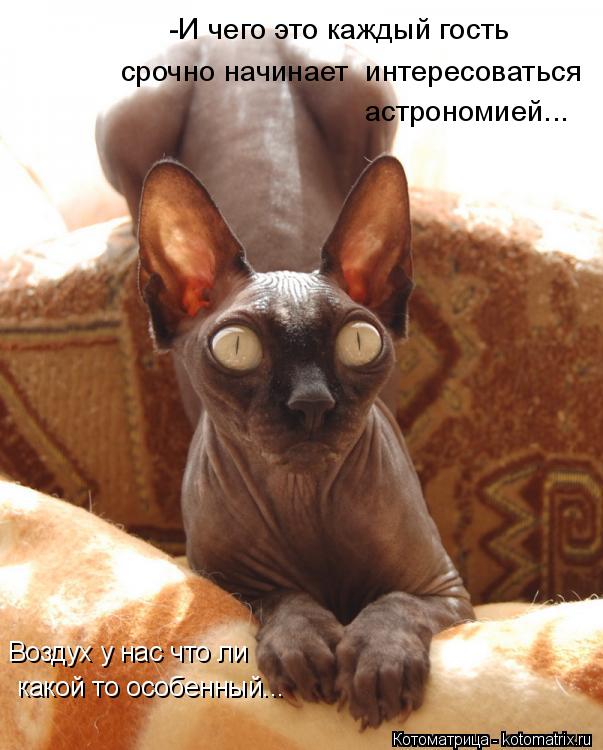 Котоматрица: -И чего это каждый гость срочно начинает  интересоваться астрономией... Воздух у нас что ли  какой то особенный...
