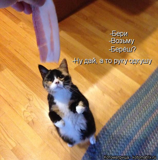 -Бери -Возьму -Берёш? -Ну дай, а то руку одкушу... Котоматрица: -Бери -Возьму -Берёш? -Ну дай, а то руку одкушу