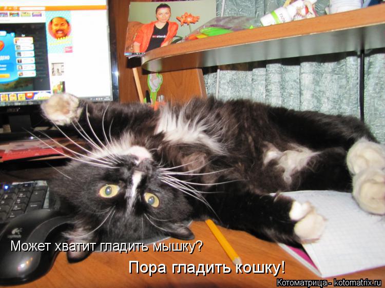 Котоматрица: Может хватит гладить мышку? Пора гладить кошку!
