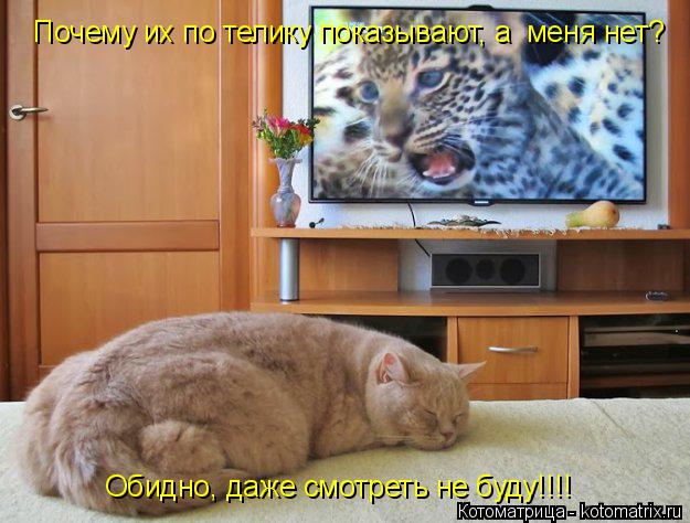 Почему их по телику показывают, а меня нет? Обидно, даже смотреть не буду!!!!... Котоматрица: Почему их по телику показывают, а меня нет? Обидно, даже смотреть не буду!!!!