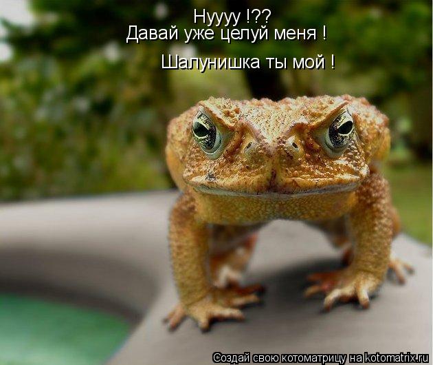 Котоматрица: Нуууу !?? Давай уже целуй меня ! Шалунишка ты мой !
