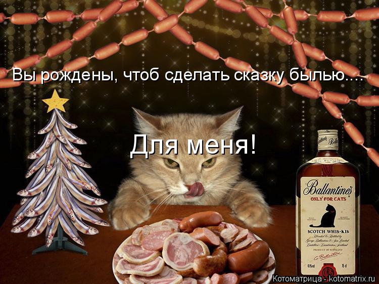 Котоматрица: Вы рождены, чтоб сделать сказку былью.... Для меня!