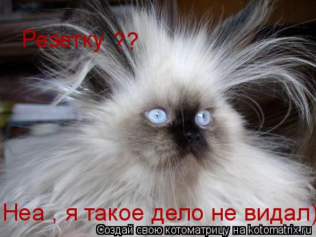 Резетку ?? Неа , я такое дело не видал)... Котоматрица: Резетку ?? Неа , я такое дело не видал)