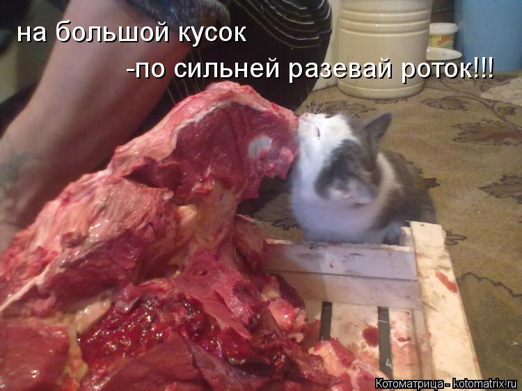 Котоматрица: на большой кусок -по сильней разевай роток!!!