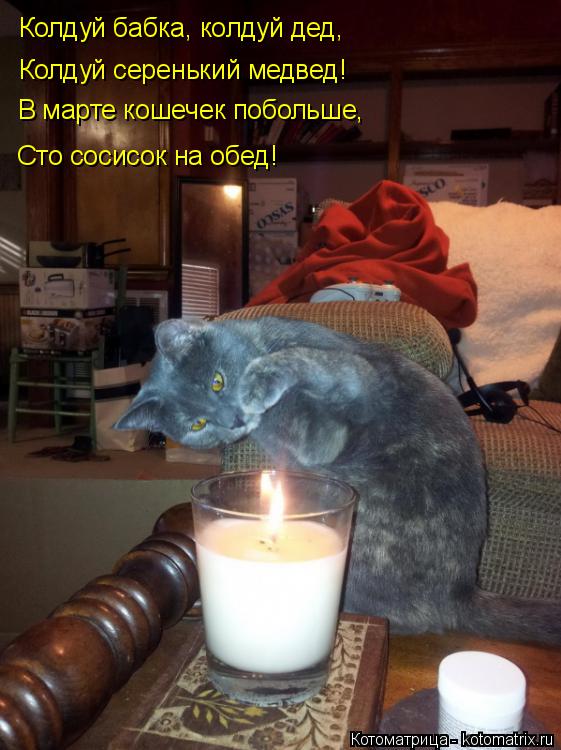 Котоматрица: Колдуй бабка, колдуй дед, Колдуй серенький медвед! В марте кошечек побольше, Сто сосисок на обед!