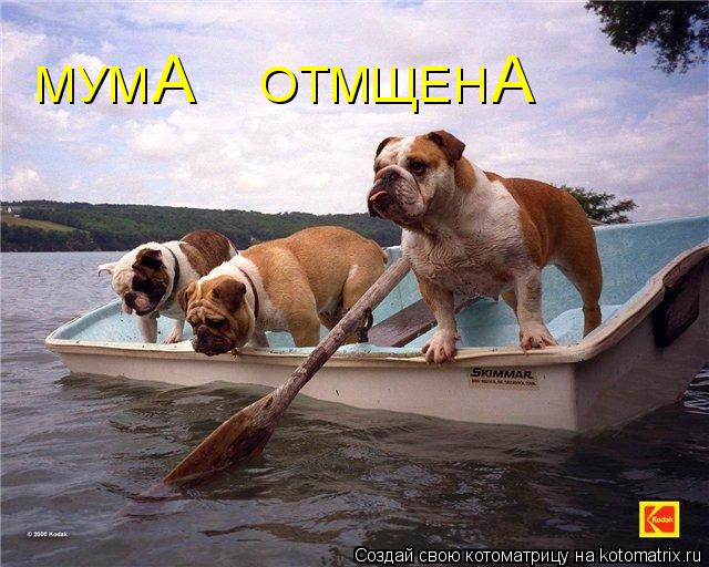 Котоматрица: МУМ        ОТМЩЕН А А