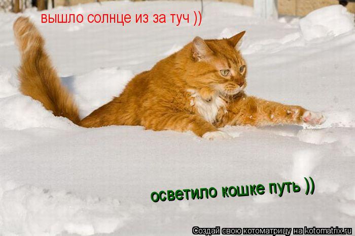 Котоматрица: вышло солнце из за туч )) осветило кошке путь ))