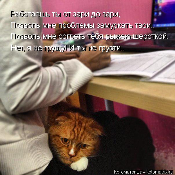 Котоматрица: Работаешь ты от зари до зари, Позволь мне проблемы замуркать твои.. Позволь мне согреть тебя рыжею шерсткой. Нет, я не грущу! И ты не грусти..