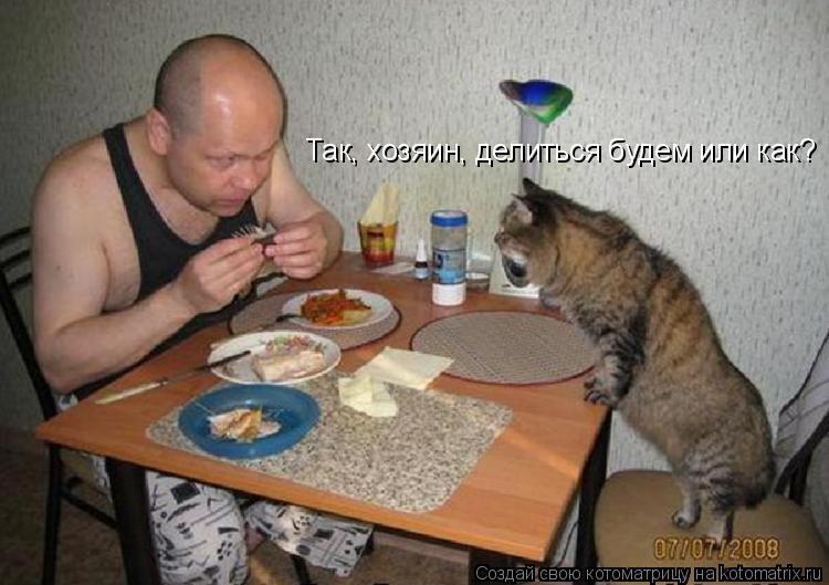 Котоматрица: Так, хозяин, делиться будем или как?