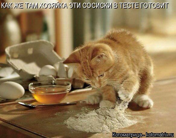 Котоматрица: КАК ЖЕ ТАМ ХОЗЯЙКА ЭТИ СОСИСКИ В ТЕСТЕ ГОТОВИТ