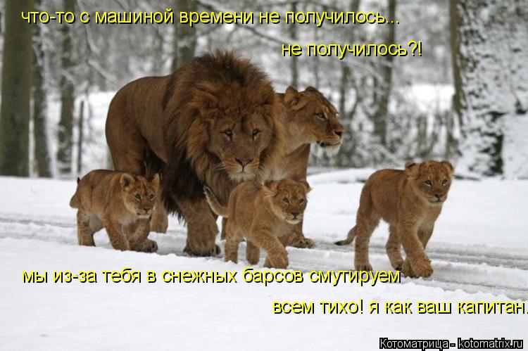 что-то с машиной времени не получилось... не получилось?! мы из-за тебя в снежных барсов смутируем в... Котоматрица: что-то с машиной времени не получилось... не получилось?! мы из-за тебя в снежных барсов смутируем всем тихо! я как ваш капитан...