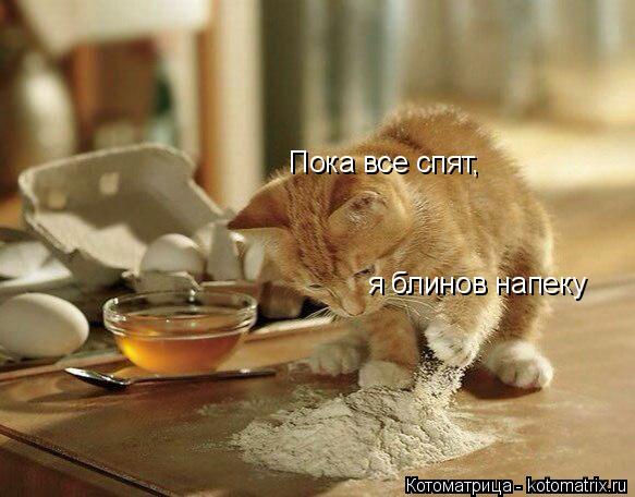 Котоматрица: Пока все спят, я блинов напеку