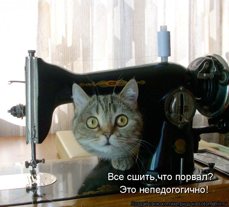 Все сшить,что порвал? Это непедогогично!... Котоматрица: Все сшить,что порвал? Это непедогогично!