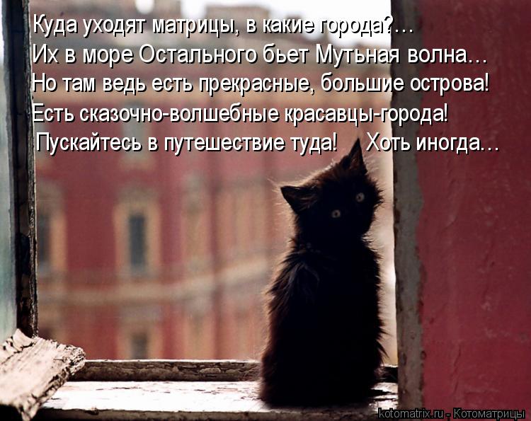 Куда уходят матрицы, в какие города?… Их в море Остального бьет Мутьная волна… Но там ведь есть прекр... Котоматрица: Куда уходят матрицы, в какие города?… Их в море Остального бьет Мутьная волна… Но там ведь есть прекрасные, большие острова! Есть сказочно-