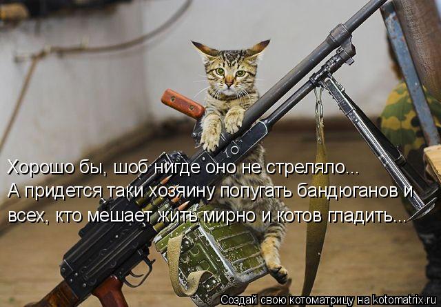 Хорошо бы, шоб нигде оно не стреляло... А придется таки хозяину попугать бандюганов и всех, кто меша... Котоматрица: Хорошо бы, шоб нигде оно не стреляло... А придется таки хозяину попугать бандюганов и всех, кто мешает жить мирно и котов гладить...