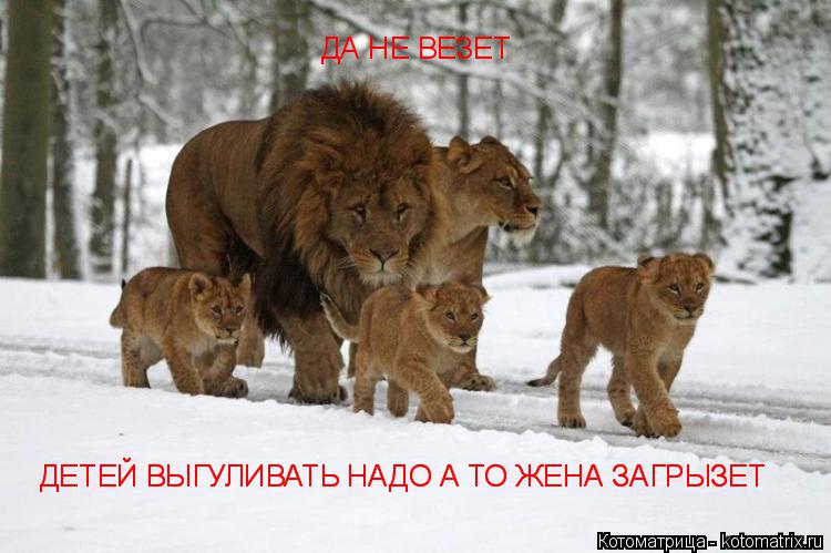 Котоматрица: ДА НЕ ВЕЗЕТ ДЕТЕЙ ВЫГУЛИВАТЬ НАДО А ТО ЖЕНА ЗАГРЫЗЕТ ДЕТЕЙ ВЫГУЛИВАТЬ НАДО А ТО ЖЕНА ЗАГРЫЗЕТ