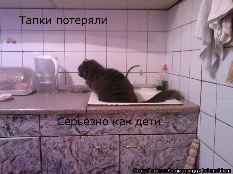 Котоматрица: Тапки потеряли Серьёзно как дети