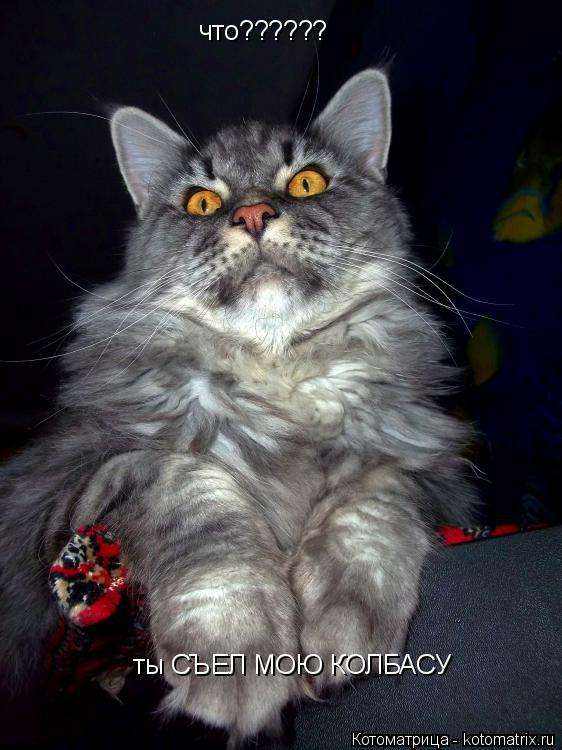 Котоматрица: что?????? ты СЪЕЛ МОЮ КОЛБАСУ