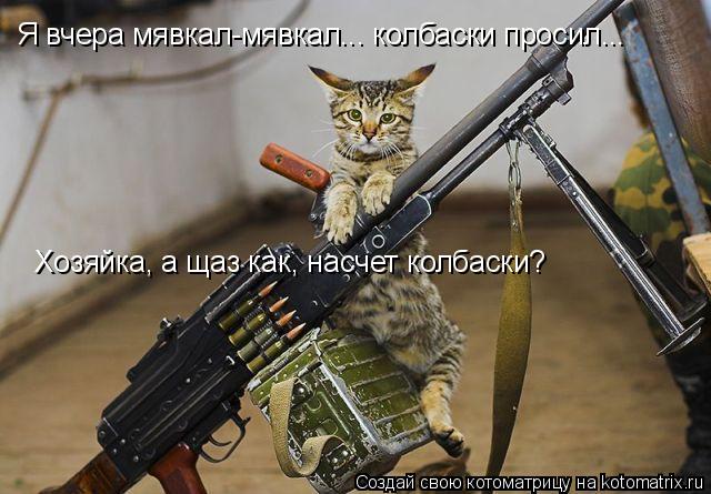 Я вчера мявкал-мявкал... колбаски просил... Хозяйка, а щаз как, насчет колбаски?... Котоматрица: Я вчера мявкал-мявкал... колбаски просил... Хозяйка, а щаз как, насчет колбаски?