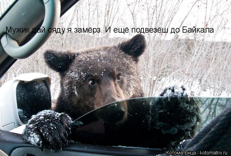 Мужик дай сяду я замёрз. И ещё подвезёш до Байкала... Котоматрица: Мужик дай сяду я замёрз. И ещё подвезёш до Байкала