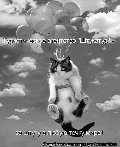 Котоматрица: Туристическое агентство "Штукатур" -  за штуку в любую точку мира!