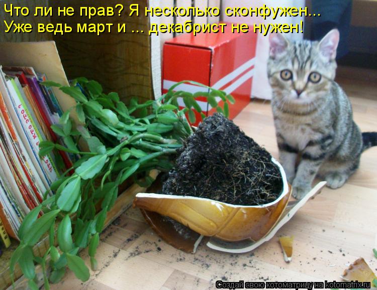 Что ли не прав? Я несколько сконфужен... Уже ведь март и ... декабрист не нужен!... Котоматрица: Что ли не прав? Я несколько сконфужен... Уже ведь март и ... декабрист не нужен!