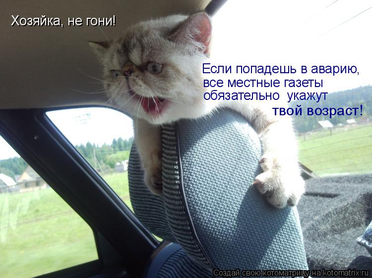 Хозяйка, не гони! Если попадешь в аварию, все местные газеты обязательно укажут твой возраст!... Котоматрица: Хозяйка, не гони! Если попадешь в аварию, все местные газеты обязательно укажут твой возраст!