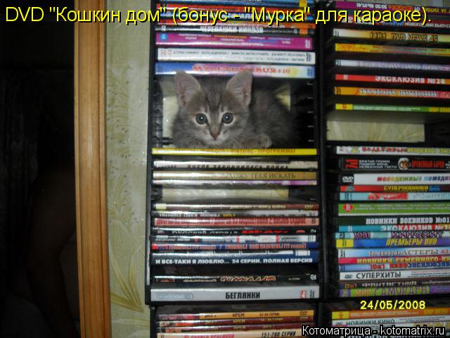 DVD "Кошкин дом" (бонус - "Мурка" для караоке).... Котоматрица: DVD "Кошкин дом" (бонус - "Мурка" для караоке).