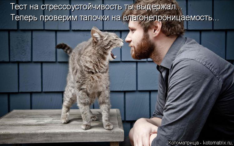 Котоматрица: Тест на стрессоустойчивость ты выдержал... Теперь проверим тапочки на влагонепроницаемость...